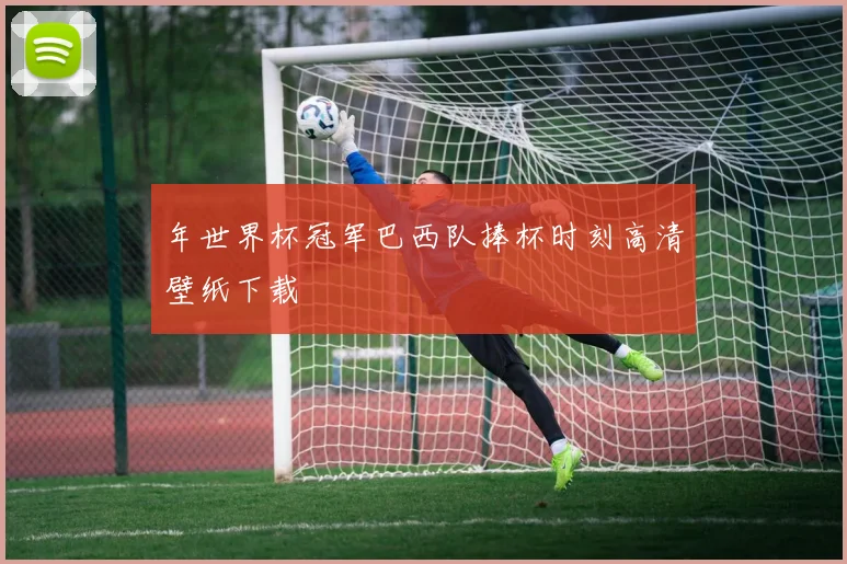 年世界杯冠军巴西队捧杯时刻高清壁纸下载
