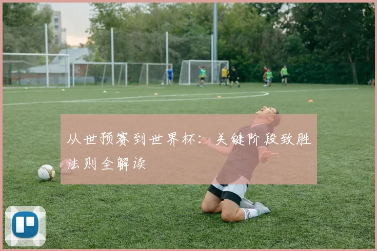 从世预赛到世界杯：关键阶段致胜法则全解读