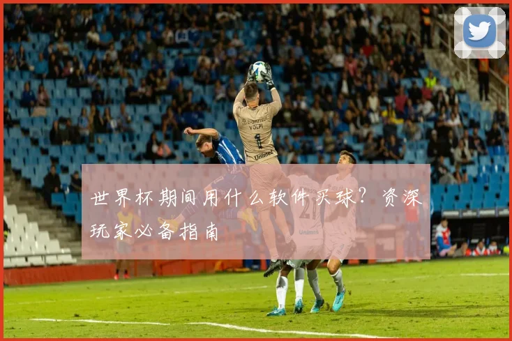 世界杯期间用什么软件买球？资深玩家必备指南