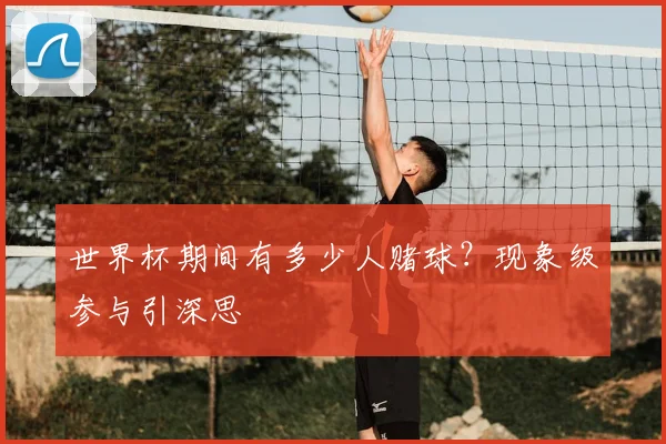世界杯期间有多少人赌球？现象级参与引深思