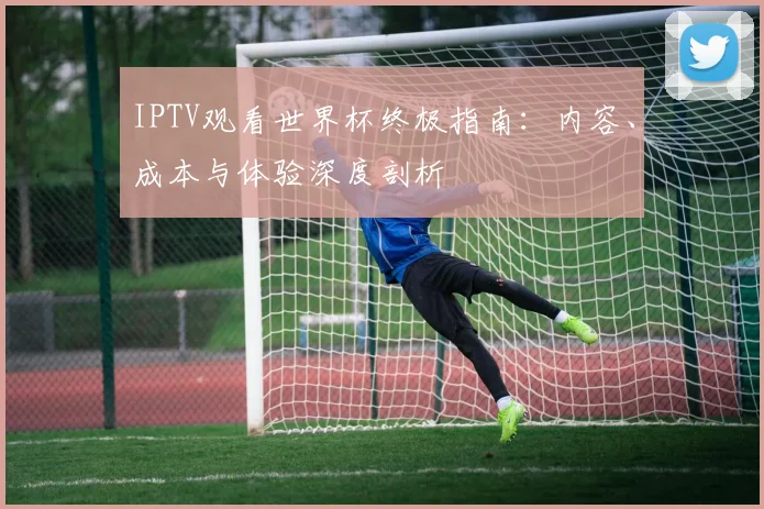 IPTV观看世界杯终极指南:内容、成本与体验深度剖析