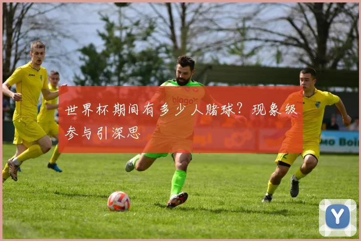 世界杯期间有多少人赌球？现象级参与引深思