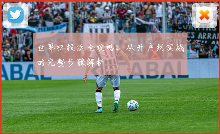 世界杯投注全攻略：从开户到实战的完整步骤解析