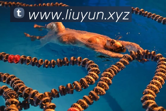 意昂体育官网登录发展历程